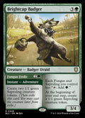 Brightcap Badger // Fungus Frolic — BLC #28 (Non-foil)
