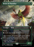 Birds of Paradise — BLC #81 (Foil)