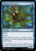 Plumecreed Escort (65) (BLB)