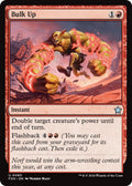 Bulk Up (80) (FDN)