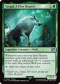 Torgal, A Fine Hound (208) (FIN)