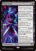 Ninja Teen (67) (TMT)